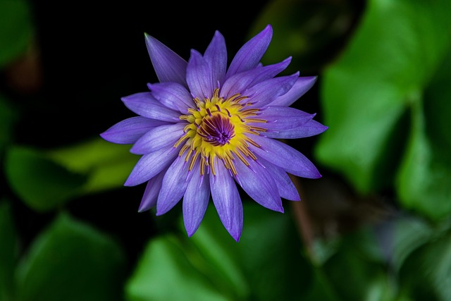 G6b02d7e9e18578850550c998b0a0073d3c91b22aa3e18e7bba02e762f024ef8d7f9737f5f54040b31a3bdbb39eac64129cdd5d66ff22d68906d1908831ae5c02 640